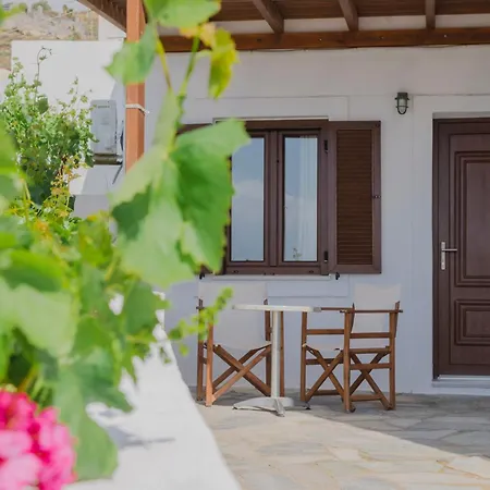 Apartahotel Petros Naxos City