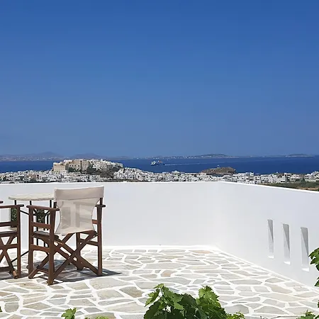 Petros Studios&suites 4* Naxos City