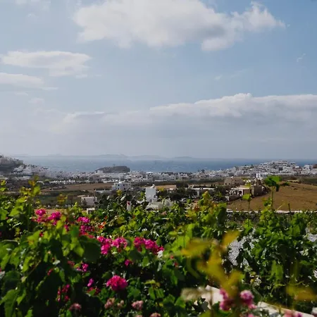 Petros & Naxos City